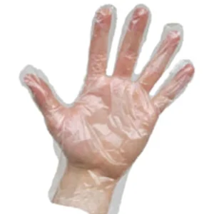 Disposable Gloves (50)